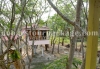 Chilapata resort tree house