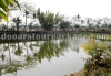 Pond in Chilapata hotel area