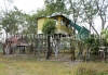 Chilapata resort tree house