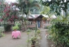 Dalgaon homestay