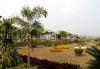 Murti budget resort