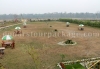 Murti comfort resort lawn