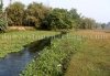 Stream around Rajabhatkhawa homestay