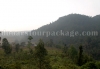 suntaleykhola_valley